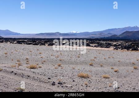 Lungo il tragitto verso Antofagasta de la Sierra, scoprendo gli altopiani argentini chiamati Puna in Sud America Foto Stock