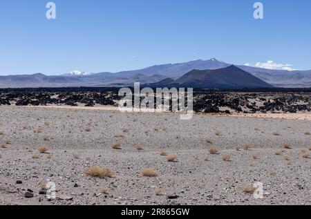 Lungo il tragitto verso Antofagasta de la Sierra, scoprendo gli altopiani argentini chiamati Puna in Sud America Foto Stock