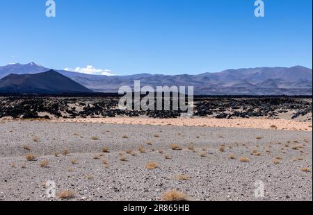 Lungo il tragitto verso Antofagasta de la Sierra, scoprendo gli altopiani argentini chiamati Puna in Sud America Foto Stock