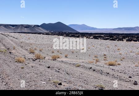 Lungo il tragitto verso Antofagasta de la Sierra, scoprendo gli altopiani argentini chiamati Puna in Sud America Foto Stock