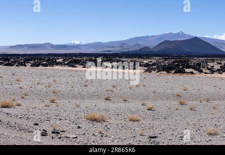 Lungo il tragitto verso Antofagasta de la Sierra, scoprendo gli altopiani argentini chiamati Puna in Sud America Foto Stock