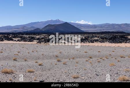 Lungo il tragitto verso Antofagasta de la Sierra, scoprendo gli altopiani argentini chiamati Puna in Sud America Foto Stock