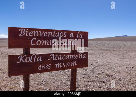 Raggiungi il punto più alto mentre attraversi le Ande da Antofagasta de la Sierra ad Antofalla - Kolla Atacamena: 4635 m sopra il livello del mare Foto Stock