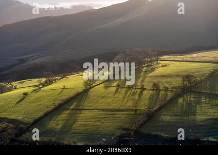 Guardando giù dal sentiero per Grisedale Pike a pascoli soleggiati a Coledale Beck all'alba in inverno nel Lake District inglese, Regno Unito. Foto Stock