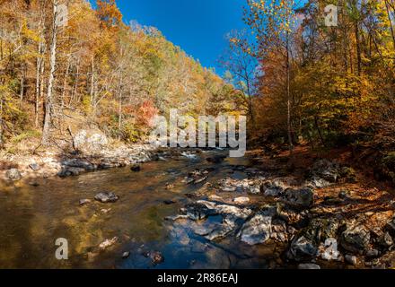 Vista panoramica del Big Laurel Creek nel North Carolina in autunno Foto Stock