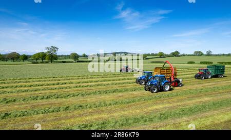 La prima volta che si taglia l'insilato in un caseificio all'inizio dell'estate nella Valle Eden vicino Penrith, Cumbria. Foto Stock