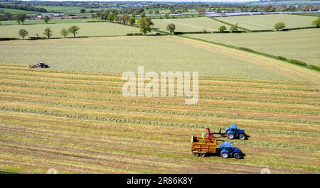 La prima volta che si taglia l'insilato in un caseificio all'inizio dell'estate nella Valle Eden vicino Penrith, Cumbria. Foto Stock