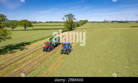 La prima volta che si taglia l'insilato in un caseificio all'inizio dell'estate nella Valle Eden vicino Penrith, Cumbria. Foto Stock