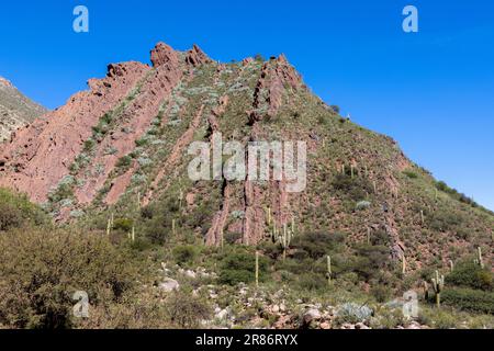 Splendido paesaggio in una deviazione verso Laguna del Brealito mentre si guida il percorso panoramico da Cafayate a Cachi nella provincia di Salta in Argentina Foto Stock