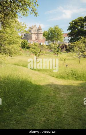 Storico Falkland Palace e villaggio con giardini paesaggistici in una soleggiata giornata estiva a Fife, Scozia, Regno Unito. Foto Stock