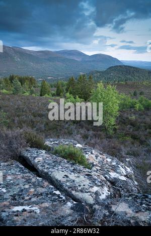 Le montagne di Cairngorm viste da Ord Ban, Loch an Eilean, Scozia, Regno Unito Foto Stock