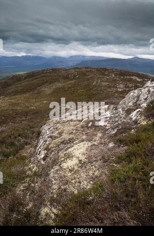 I monti Cairngorm, visti da Craigellachie, Aviemore, Scozia Foto Stock