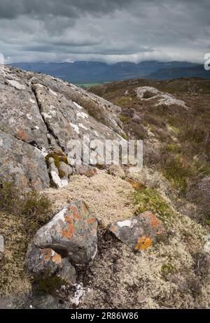 I monti Cairngorm, visti da Craigellachie, Aviemore, Scozia Foto Stock