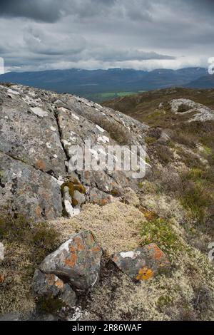 I monti Cairngorm, visti da Craigellachie, Aviemore, Scozia Foto Stock