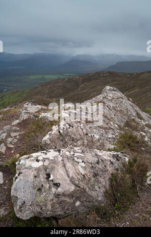 I monti Cairngorm, visti da Craigellachie, Aviemore, Scozia Foto Stock