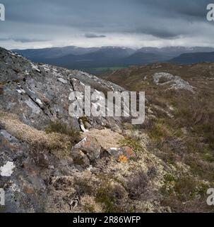 I monti Cairngorm, visti da Craigellachie, Aviemore, Scozia Foto Stock