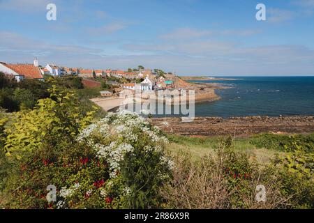 Vista sul pittoresco porto del villaggio di pescatori sul mare di Crail in una giornata estiva di sole a East Neuk, Fife, Scozia. Foto Stock