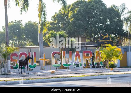 Bairro do Guará con sculture del lupo mannaro (Chrysocyon brachyurus). Foto Stock