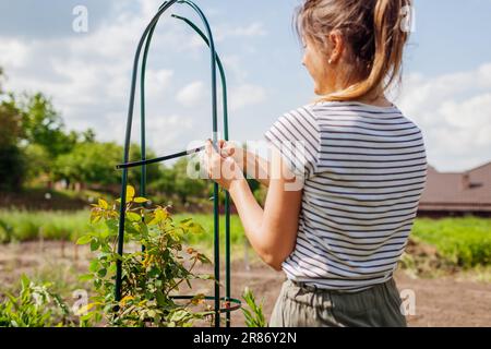 Giovane donna giardiniere assembla obelisco di metallo per l'arrampicata sostegno rosa nel giardino di primavera. Installazione di columnar trellis. Fissaggio della parte laterale a vite Foto Stock