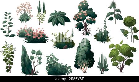Set vettoriale di cespugli di vegetazione, erba e alberi. Arbusto ornamentale per la progettazione di un parco, un giardino o una recinzione verde. Illustrazione vettoriale Illustrazione Vettoriale