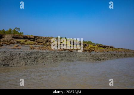 Foresta di mangrovie costiere a Dhal Chhar. Dhal Char è una delle numerose isole del delta del fiume Meghna, nella regione più ampia del delta del Gange. BHO Foto Stock