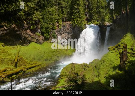 Le cascate di Sahalie sul fiume McKenzie in Oregon Cascades si tuffano in estate Foto Stock