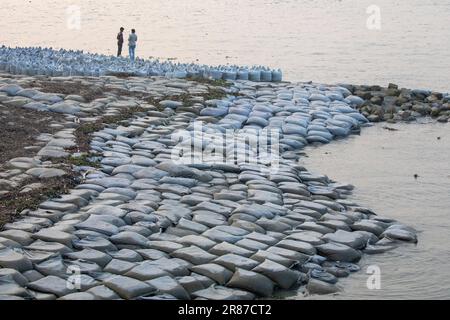 Le autorità hanno messo i sacchi di sabbia per rinforzare le rive del fiume Meghna a Monpura, Bhola, Bangladesh. Foto Stock