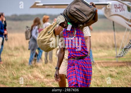 Maasai Mara, Kenya - 25 settembre 2013. Un membro della tribù Maasai impiegato da un campo safari, trasporta i bagagli dei passeggeri da un volo charter. Foto Stock