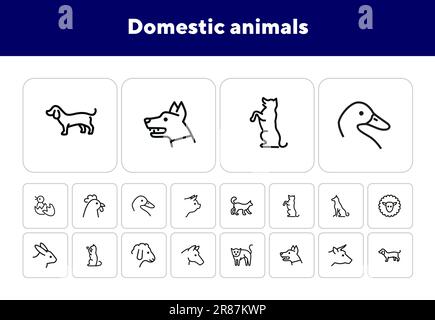 Animali domestici icone Illustrazione Vettoriale