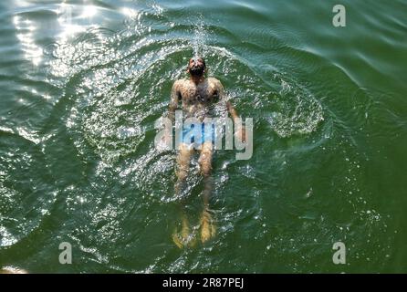 Srinagar Kashmir, India. 19th giugno, 2023. Un uomo si raffredda nelle acque del lago dal in una calda giornata estiva a Srinagar. Una temperatura di 31 gradi Celsius è stata registrata a Srinagar il 19 giugno mentre il dipartimento meteorologico prevede un clima caldo e umido nel Kashmir nei prossimi giorni. Il 19 giugno 2023 a Srinagar Kashmir, India. (Credit Image: © Firdous Nazir/eyepix via ZUMA Press Wire) SOLO PER USO EDITORIALE! Non per USO commerciale! Foto Stock