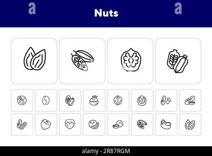 Set di icone linea NUTS. Arachidi, nocciola, mandorla Illustrazione Vettoriale