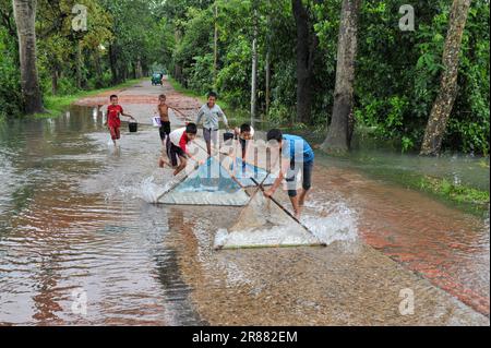 Sylhet, Bangladesh. 19th giugno, 2023. Un gruppo di bambini tenta di catturare pesci in acqua di alluvione con reti fatte a mano. A causa delle continue piogge, il livello delle acque dei fiumi e dei corsi d'acqua è aumentato e l'acqua ha raggiunto Haor-Bawar e il lato stradale Sylhet, Bangladesh. (Credit Image: © MD Rafayat Haque Khan/eyepix via ZUMA Press Wire) SOLO PER USO EDITORIALE! Non per USO commerciale! Foto Stock