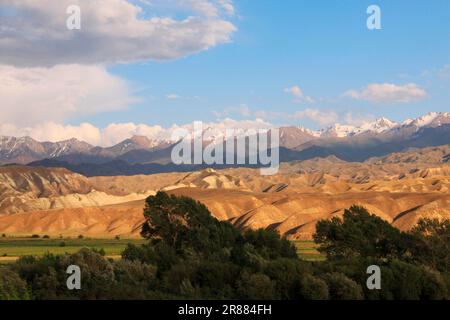 Paesaggio nelle montagne Tian Shan nord-occidentali vicino Chayek Kirghizstan Foto Stock