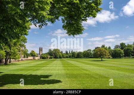 Vista sul campo da gioco in erba di Merton Field fino alla torre della chiesa di Merton College Chapel, Oxford, Oxfordshire Inghilterra, Gran Bretagna Foto Stock