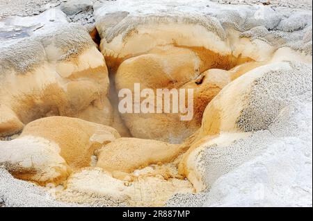 Sorgente termale "Shell Spring", Biscuit Basin, Parco Nazionale di Yellowstone, USA Foto Stock