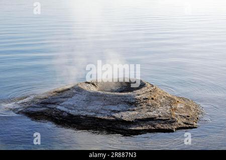 Pesca Cone Geyser, West Thumb Geyser Basin, Yellowstone National Park, Wyoming, USA Foto Stock