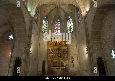 Museu d'Historia de la Ciutat, Museo della Città, Capella Reial de Santa Agata nel Palau Reial Major, Barcellona, Catalogna, Spagna Foto Stock