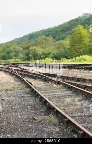 Doppi punti di scivolamento come parte della disposizione dei binari presso la stazione di Levisham sulla North Yorkshire Moors Railway, Inghilterra. Foto Stock