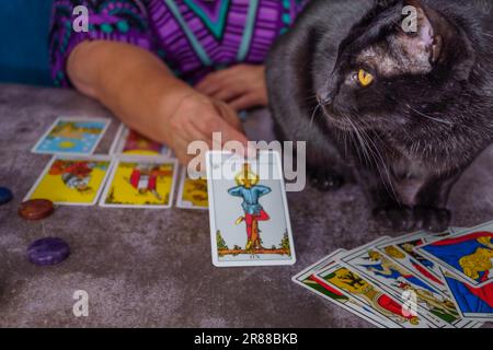 Fortune teller lettura di carte tarocchi con un gatto nero sul tavolo candele bianche Foto Stock