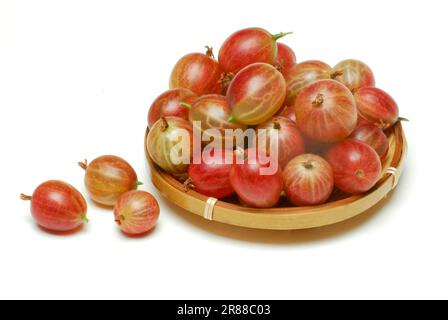 Frutti di bosco (Ribes uva-crispa) in una ciotola Foto Stock