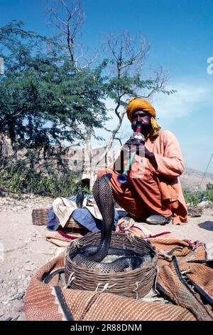 Incantatore di serpente vicino al forte di Amber a Jaipur, Rajasthan, India, Asia Foto Stock