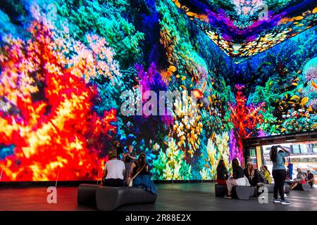 Display digitali che mostrano le barriere coralline e la vita subacquea presso l'Now Building, Tottenham Court Road, Londra, Regno Unito Foto Stock