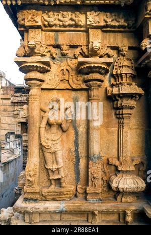 Statua riccamente scolpita di bella donna con pappagallo sulla parete del tempio Venugopalaswamy in Sri Ranganathaswamy tempio Vishnu a Srirangam Island Foto Stock