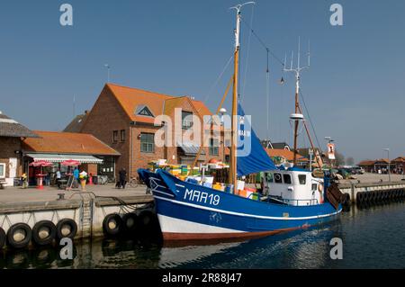 Peschereccio nel porto, villaggio di pescatori, Schlei, Maasholm, Schleswig-Holstein, Germania Foto Stock