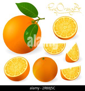 Fresche arance mature con foglie Illustrazione Vettoriale