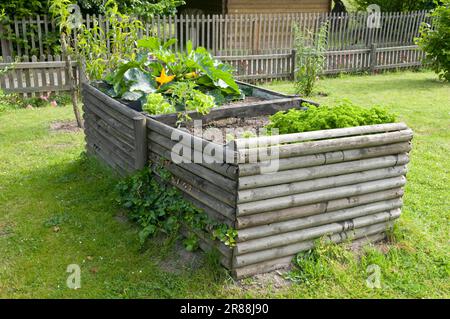 Compost in giardino di allotment, cumulo di compost, casella di compost, sito giardino di allotment, Luenen, Zona della Ruhr, Renania settentrionale-Vestfalia, Germania Foto Stock