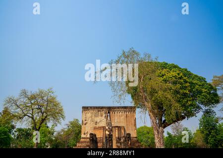 Il grande Buddha di Wat si Chum nella provincia di Sukhothai Thailandia Centrale. Patrimonio dell'umanità dell'UNESCO. Vista grandangolare con spazio di copia. Foto Stock