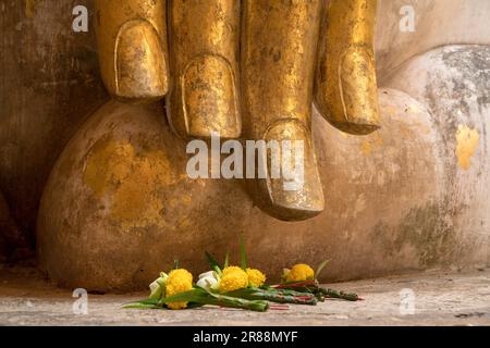 Le dita dorate di 'Phra Atchana', il grande Buddha situato nella sala principale del Tempio di Wat si Chum a Sukhothai, sito patrimonio dell'umanità dell'UNESCO, Thailan Foto Stock