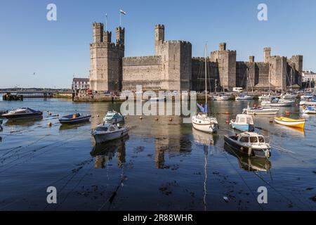 Caernarfon Castle, Gwynedd, Galles Foto Stock