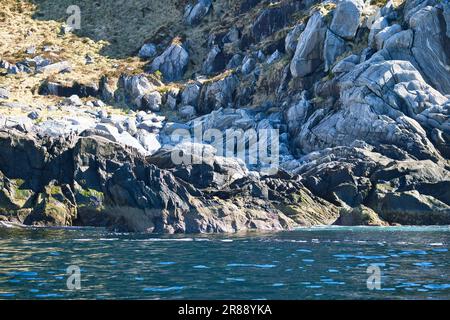 norvegia sul fiordo, spruzzare sulle rocce. Spruzzi d'acqua sulle pietre. Paesaggio costiero in Scandinavia. Foto del paesaggio da nord Foto Stock